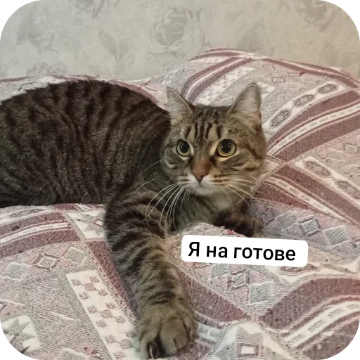 Sticker Pashkiny_stikery - 1