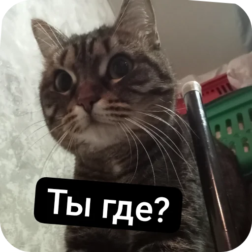 Sticker Pashkiny_stikery - 1