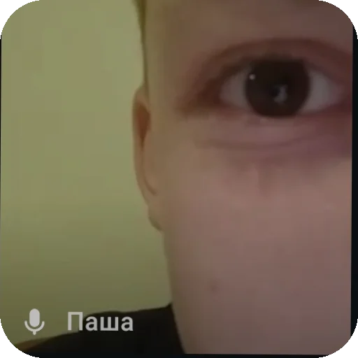 Sticker Pashtet170 - 1