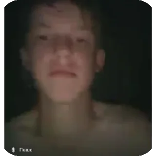 Стикер Паштет - 2