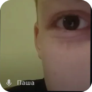 Стикер Паштет - 1