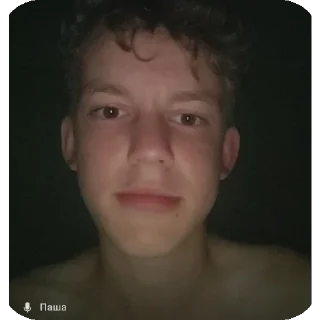 Стикер Паштет - 4