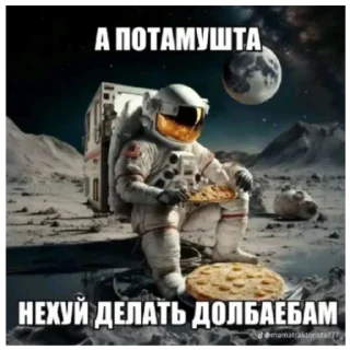 Стикер Патамушта - 2