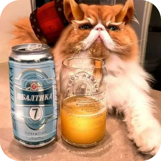 Стикер Patrik450 - 1