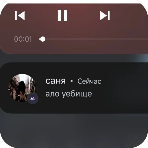 Sticker Patrik450 - 1