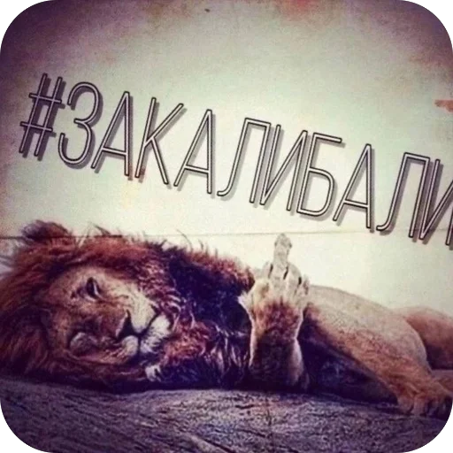 Sticker Paveldurov_by_TgEmodziBot - 1