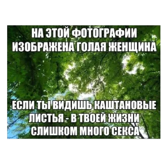 Стикер H6f9g2 - 11