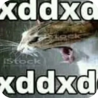 Стикер H6f9g2 - 9