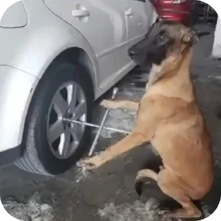 Стикер H6f9g2 - 1