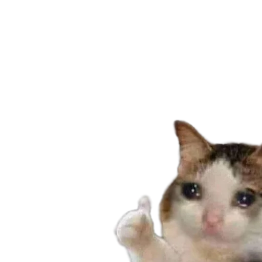 Стикер Random Pav Pack - 10