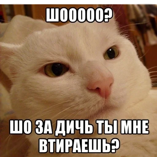 Стикер Random Pav Pack - 9