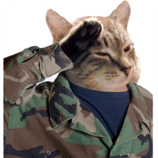 Стикер Random Pav Pack - 8