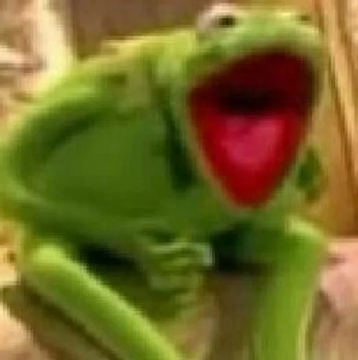 лягушка животное амфибия