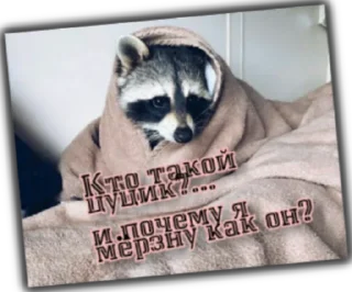 Sticker Крошка енот - 2