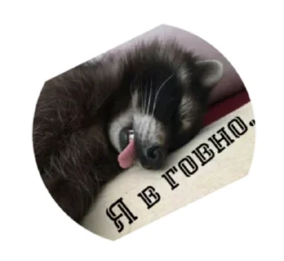 Sticker Крошка енот - 7