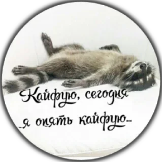 Sticker Крошка енот - 10