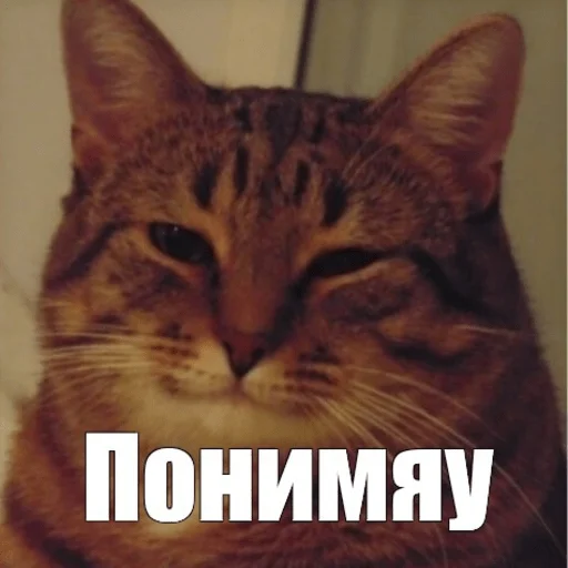 Стикер ПЧЕЛЫ by N.A.T. - 10