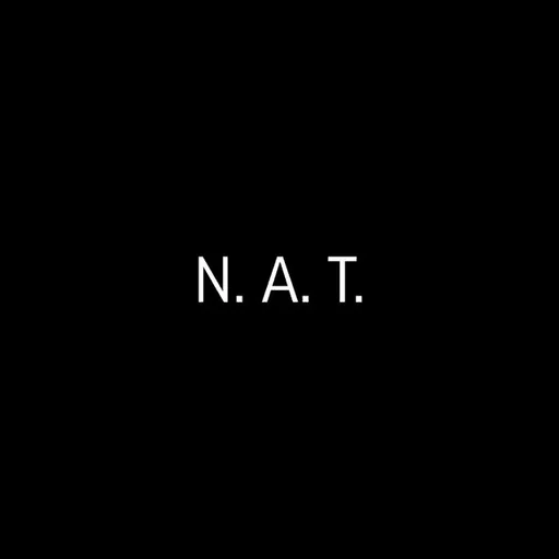 ПЧЕЛЫ by N.A.T. - 