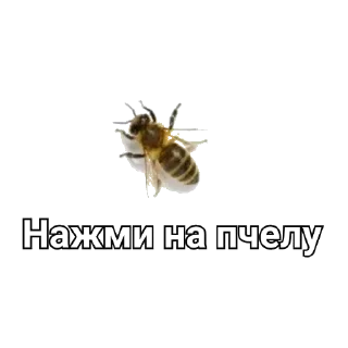 Стикер Ахаха иди нахуй пИдарняга - 1