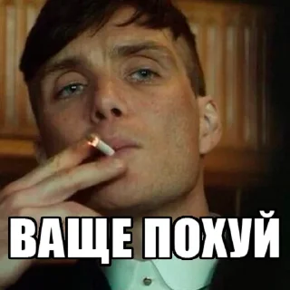Стикер Shelby @stickersb2b - 3