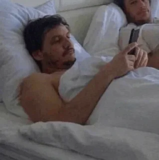 Человек человеческое лицо комнатный