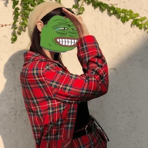 clothing tartan plaid