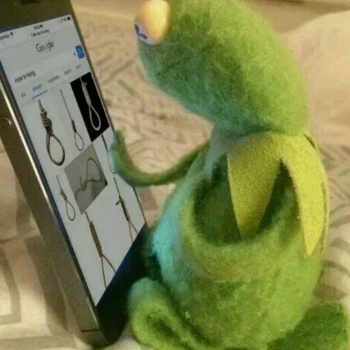 indoor toy stuffed toy