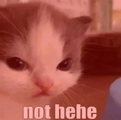 Sticker PeergradeLol - 1