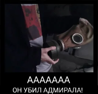 Sticker Pekar чат - 3