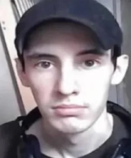 Sticker Pekar чат - 2