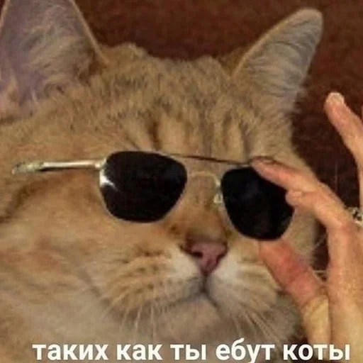 Sticker Пельмени отдыхают :: @fStikBot - 0