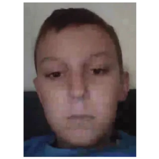 Sticker Пень2 - 3