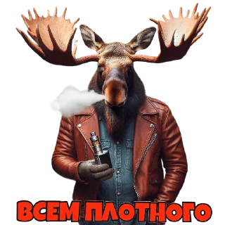 Стикер Penek - 6