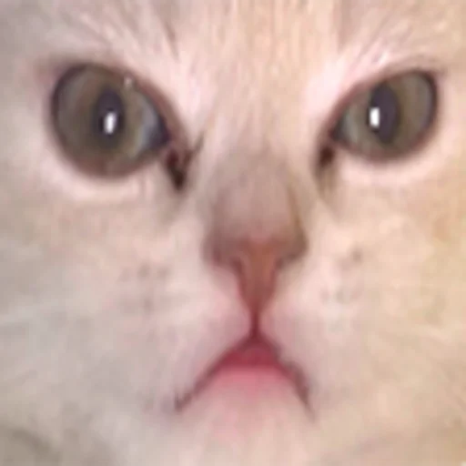 Sticker HellYeahPlay - 3