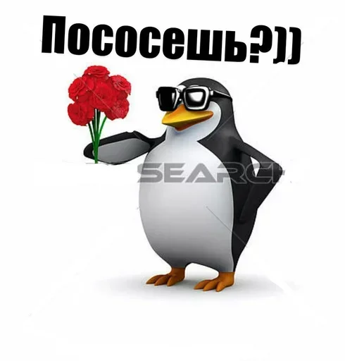 Sticker пингвин в очках - 0