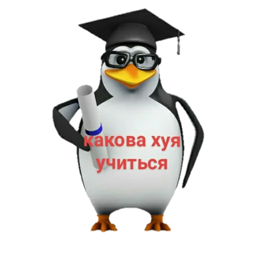 Пингвин "Какова хуя" - cartoon