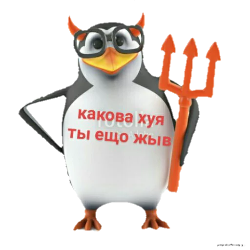 cartoon bird penguin