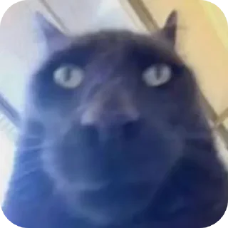 Стикер Пенис - 0