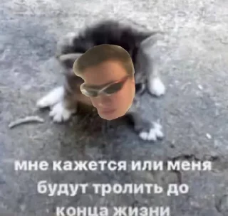 Стикер Невермежцы - 10