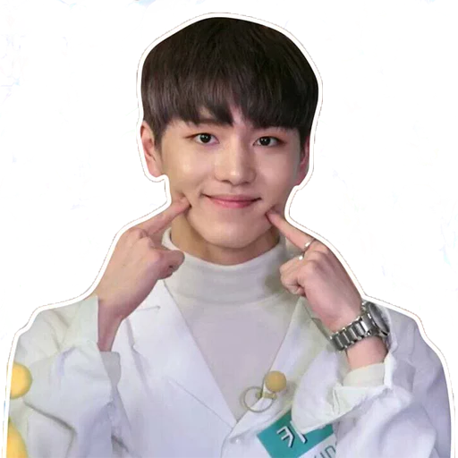 Sticker Pentagonefyu - 1