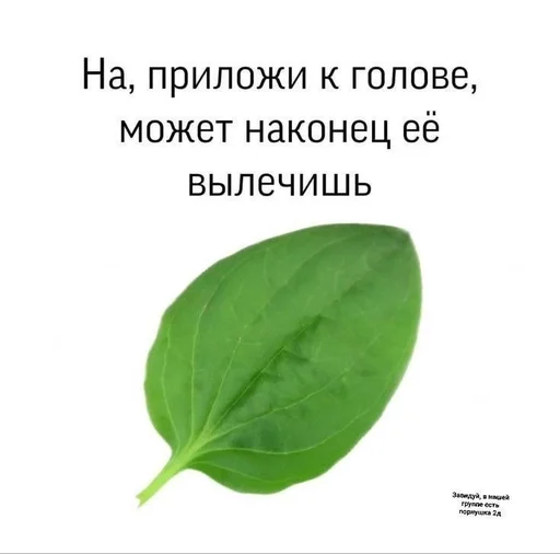 Стикер ShadeNannaRhea :: @fStikBot - 3