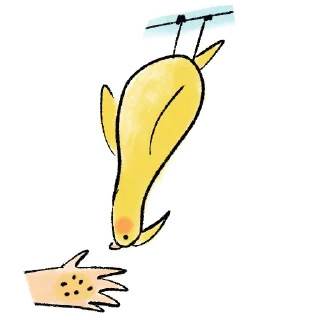 Sticker Pepki by @mushroomova - 8