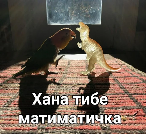 mammal screenshot animal