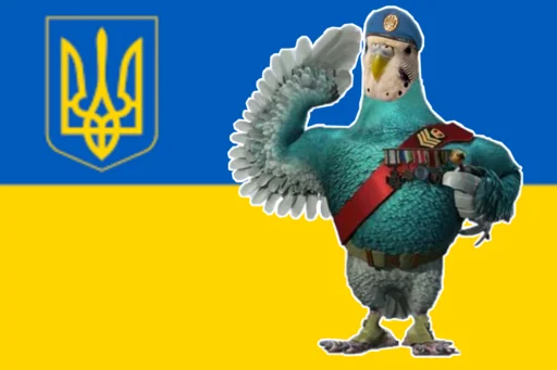 bird cartoon illustration