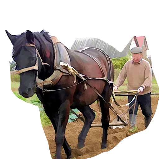 Стикер Peregorela - 1