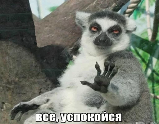 Sticker Пересмешник.Уз - 11