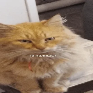 Стикер Nevero9ltno - 2