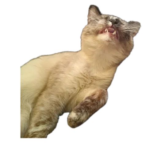 Перфоратор - 