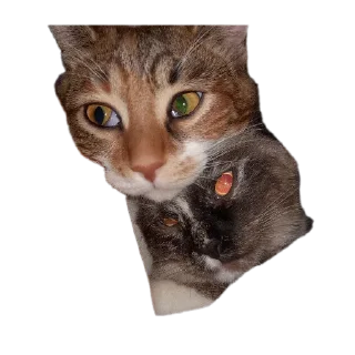 Sticker Перфоратор - 4