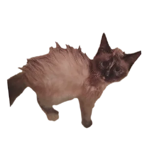 Sticker Перфоратор - 1